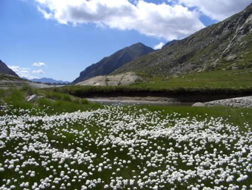 Falesia del Lago Miller